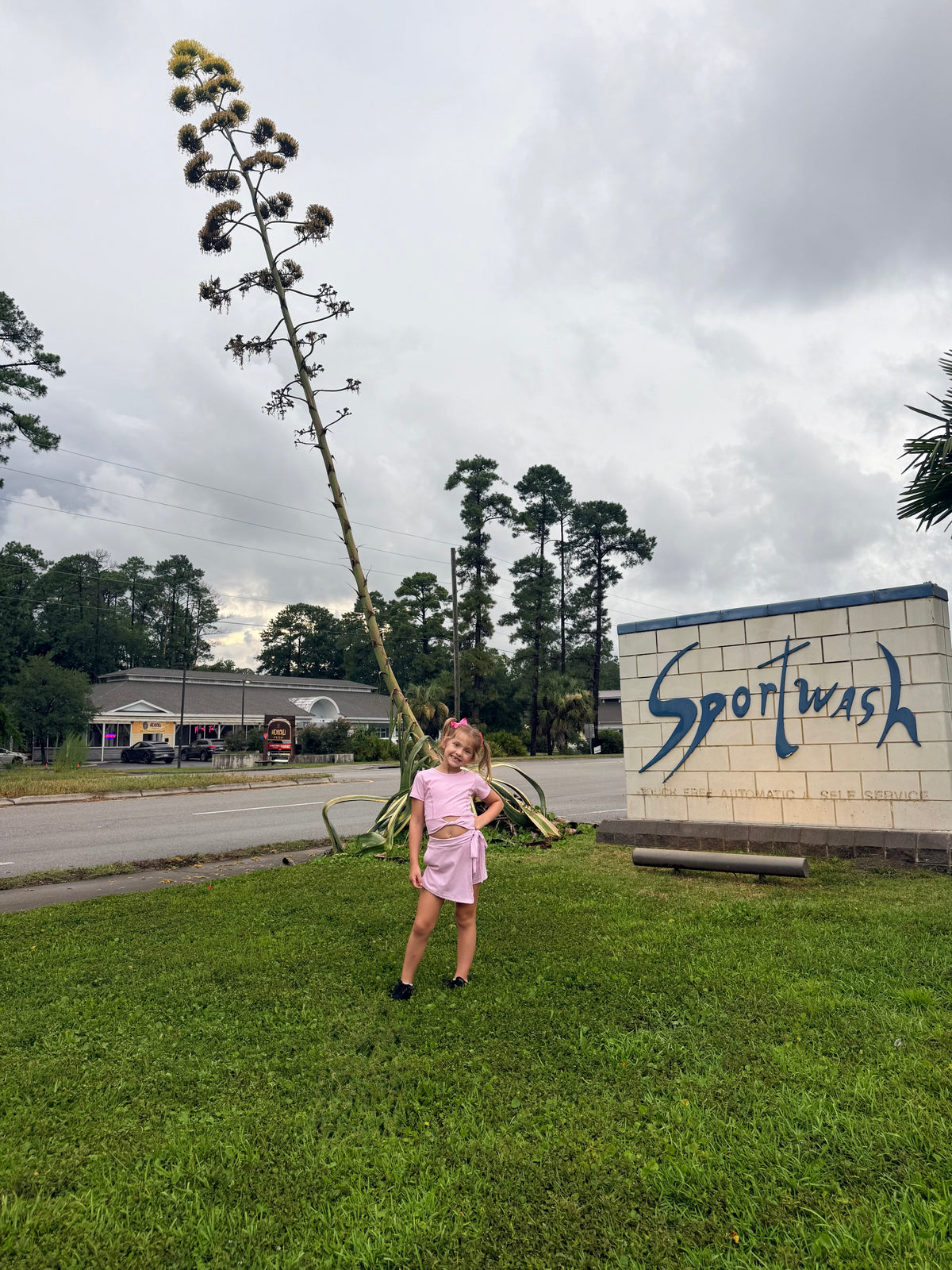 The Agave Bloom: Why This Rare Plant Has Everyone Stopping to Look